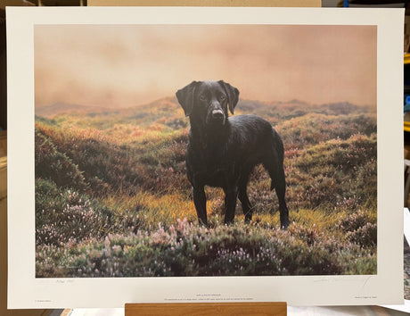 kate artist proof print by artist steven townsend