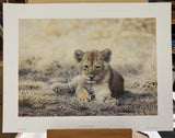 left behind artist proof print by artist steven townsend