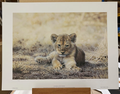 left behind artist proof print by artist steven townsend