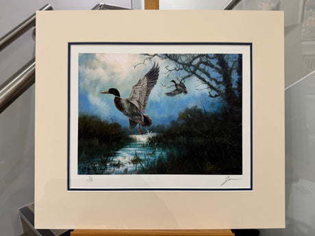 lift off mounted print by artist john trickett