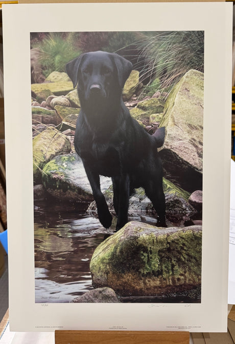 logo print by artist steven townsend