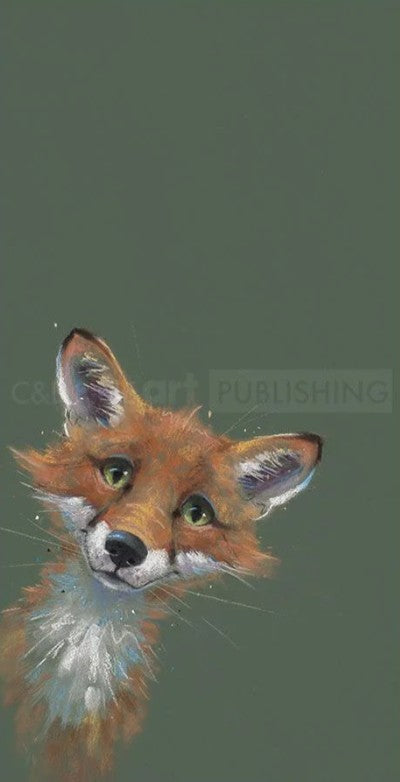 loveable rogue ii mounted print by artist nicky litchfield