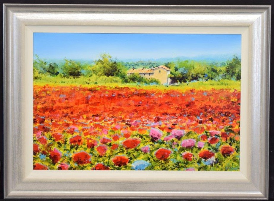 terracotta dreams framed original by artist gary sams