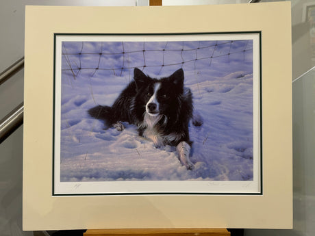 mac artist proof mounted print by artist steven townsend