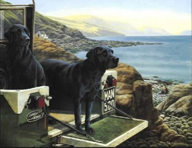 Man's Best Friend