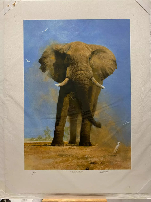my savuti friend print by artist david shepherd