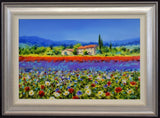 sunlit villa framed original by artist gary sams
