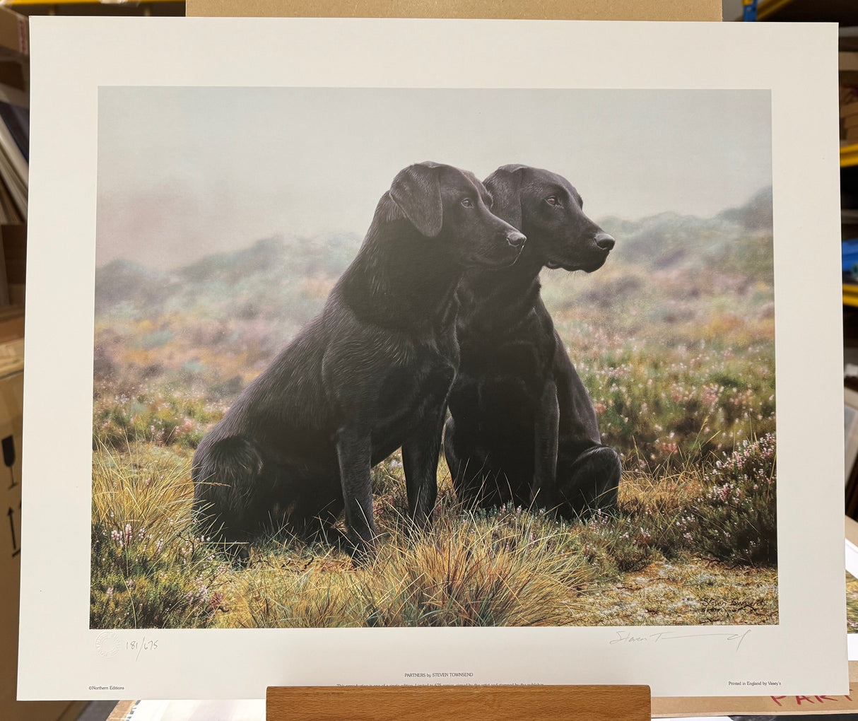 partners print by artist steven townsend