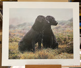 partners print by artist steven townsend