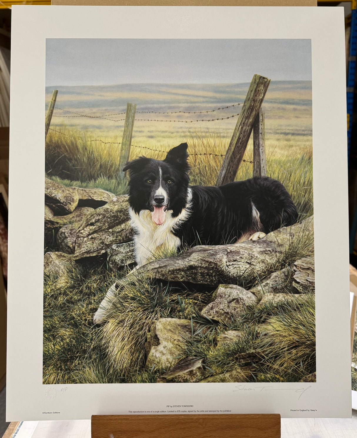 pip artist proof print by artist steven townsend