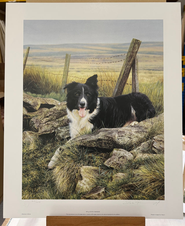 pip print by artist steven townsend