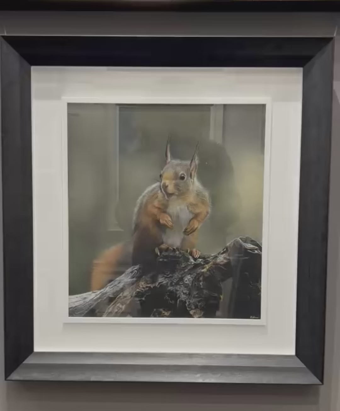 Inquisitive Squirrel