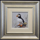 puffin framed original by artist ruby keller