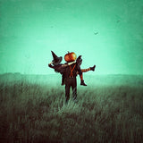 pumpkin spice print by michelle mackie