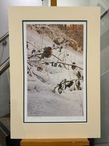 quiet moment artist proof mounted print by artist steven townsend