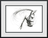 quiet power framed print by artist scott tetlow