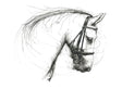 quiet power mounted print by artist scott tetlow