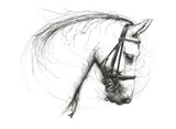 quiet power mounted print by artist scott tetlow