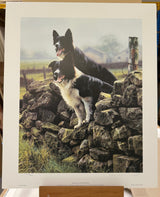 rarin to go print by artist steven townsend