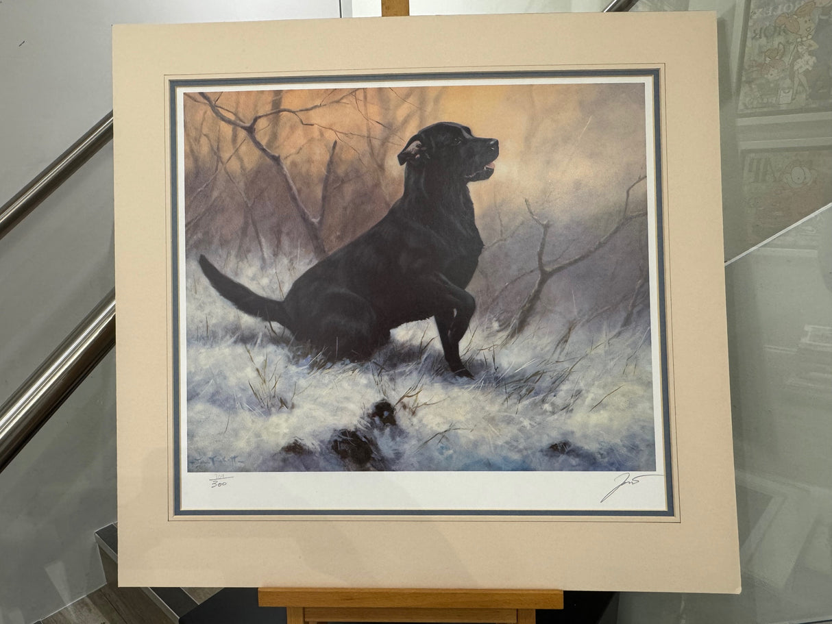 ready mounted print by artist john trickett