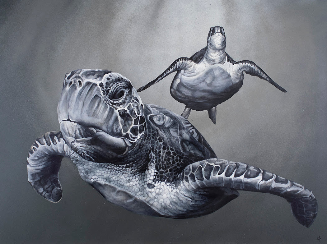 Riding The Current