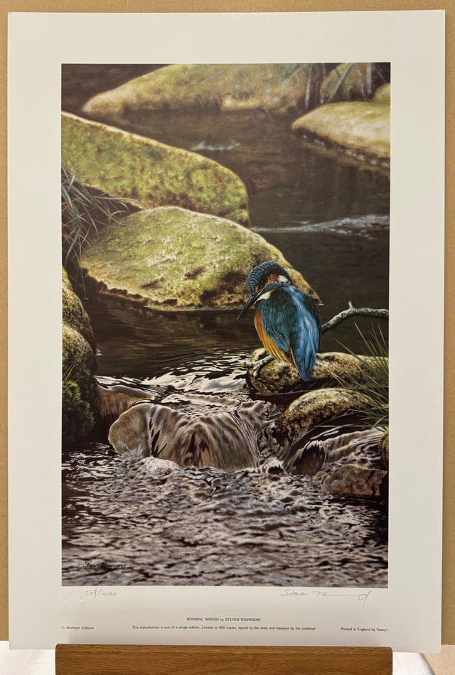 running waters print by artist steven townsend