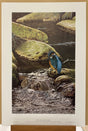 running waters print by artist steven townsend