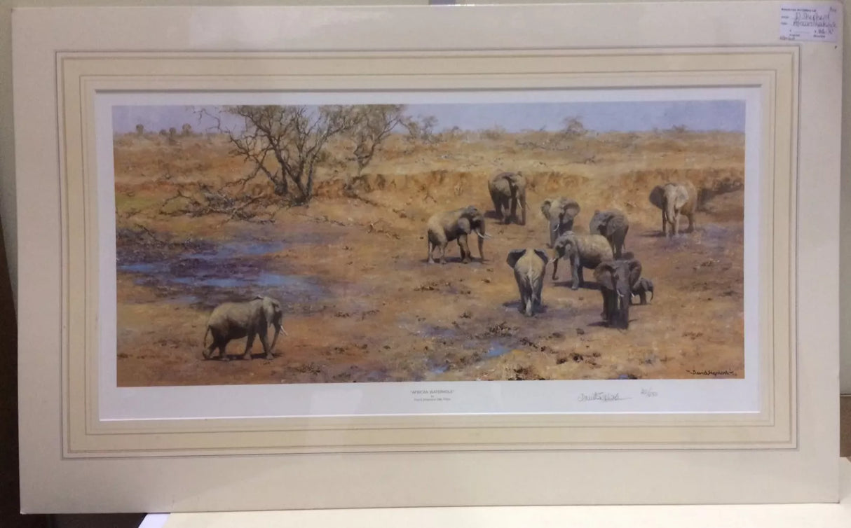 African Waterhole