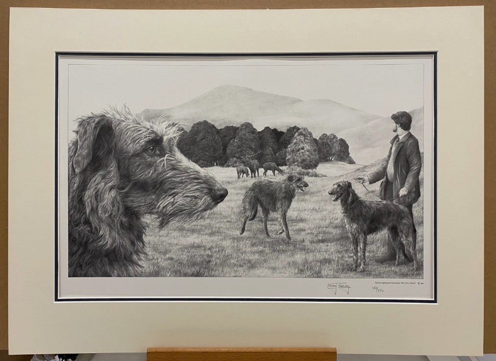scottish deerhound mounted print by artist mike sibley