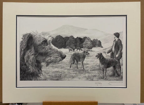 scottish deerhound mounted print by artist mike sibley