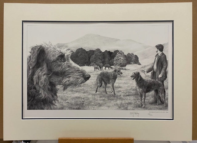 scottish deerhound mounted print by artist mike sibley