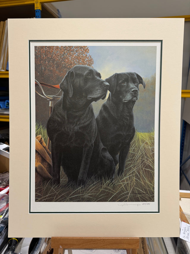 senior service print mounted in plain cream mount with green inner edge by artist nigel hemming