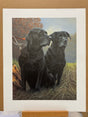 senior service print by artist nigel hemming
