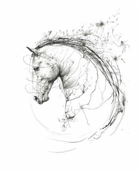 spirit mounted print by artist scott tetlow