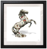 Stallion (Small)