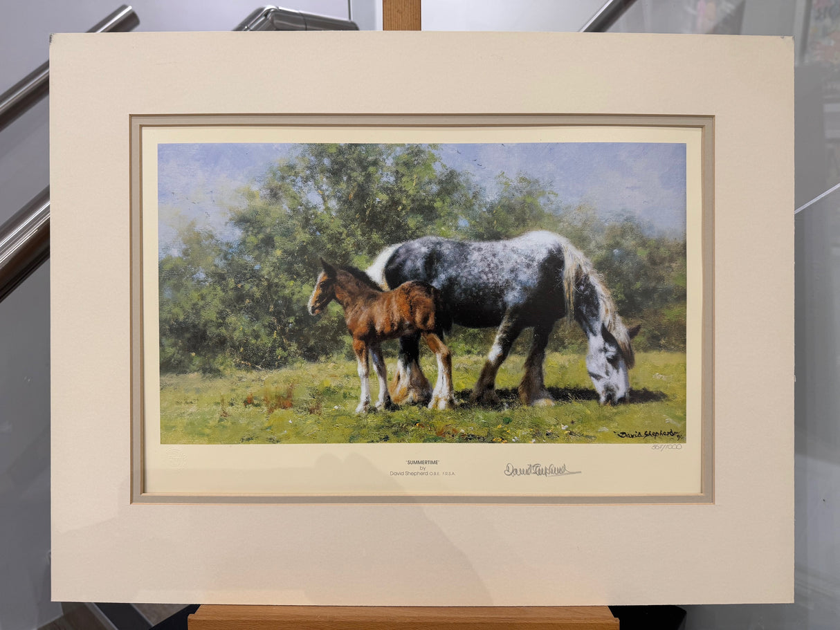 summertime mounted print by artist david shepherd