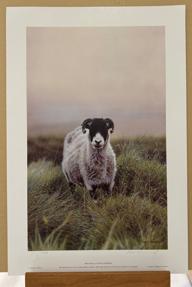 swaledale print by steven townsend