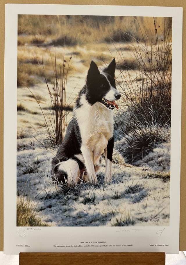 take five print by steven townsend