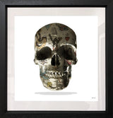 Tattoo Skull (Small)