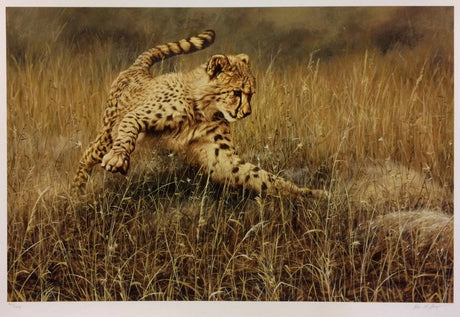 the catch print by artist alan hunt
