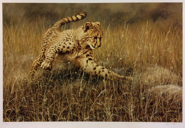 the catch print by artist alan hunt