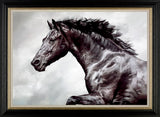 The Conqueror