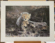 time to leave artist proof print only by artist steven townsend