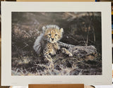 time to leave artist proof print only by artist steven townsend