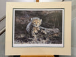 time to leave artist proof mounted print by artist steven townsend