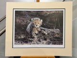 time to leave artist proof mounted print by artist steven townsend