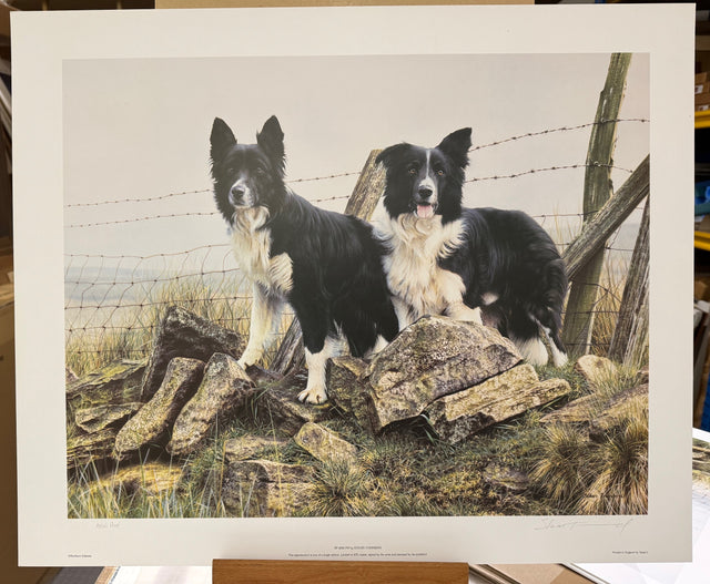 tip and pip artist proof print by artist steven townsend