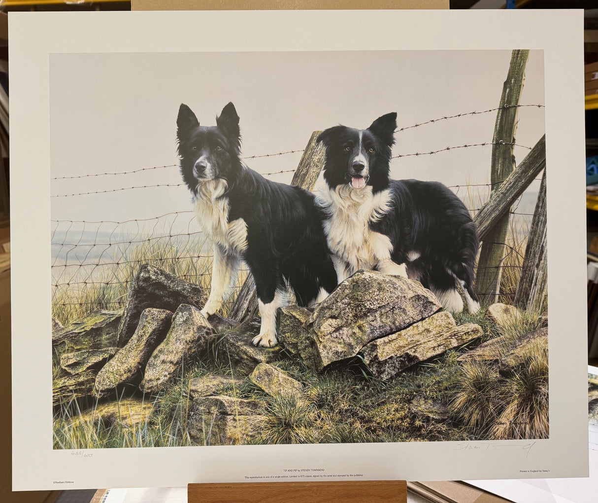 tip and pip print by artist steven townsend