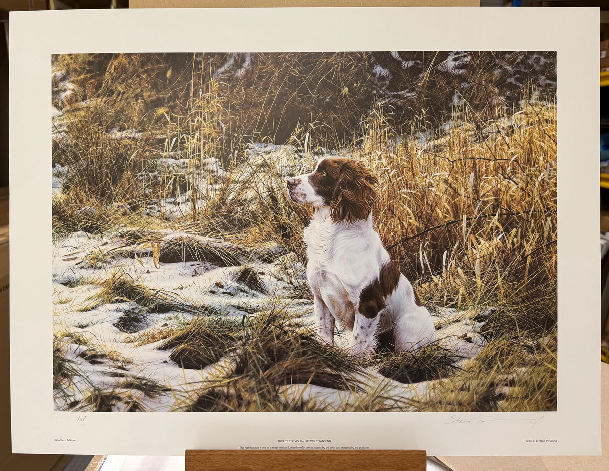 tribute to dash artist proof print only by artist steven townsend