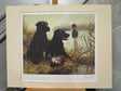 two black labradors having a rest mounted print by artist john trickett